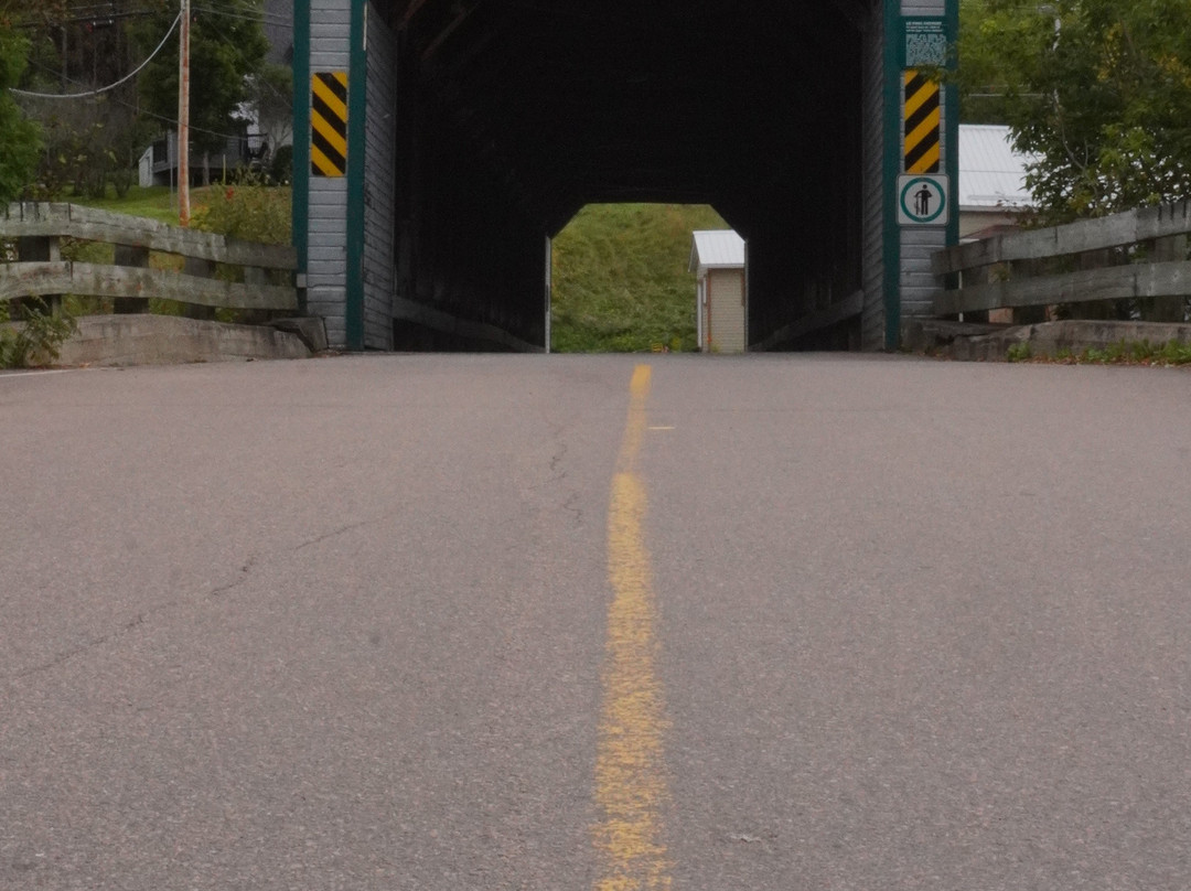 Pont du Faubourg-L'Anse-Saint-Jean必去景点