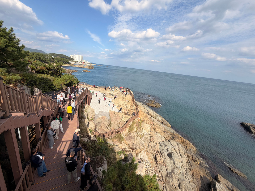 Haedong Yonggungsa-釜山必去景点