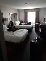 Best Western Plus Vineyard Inn & Suites主图