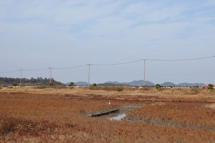 Taepyeong Yeomsaeng Botanical Garden