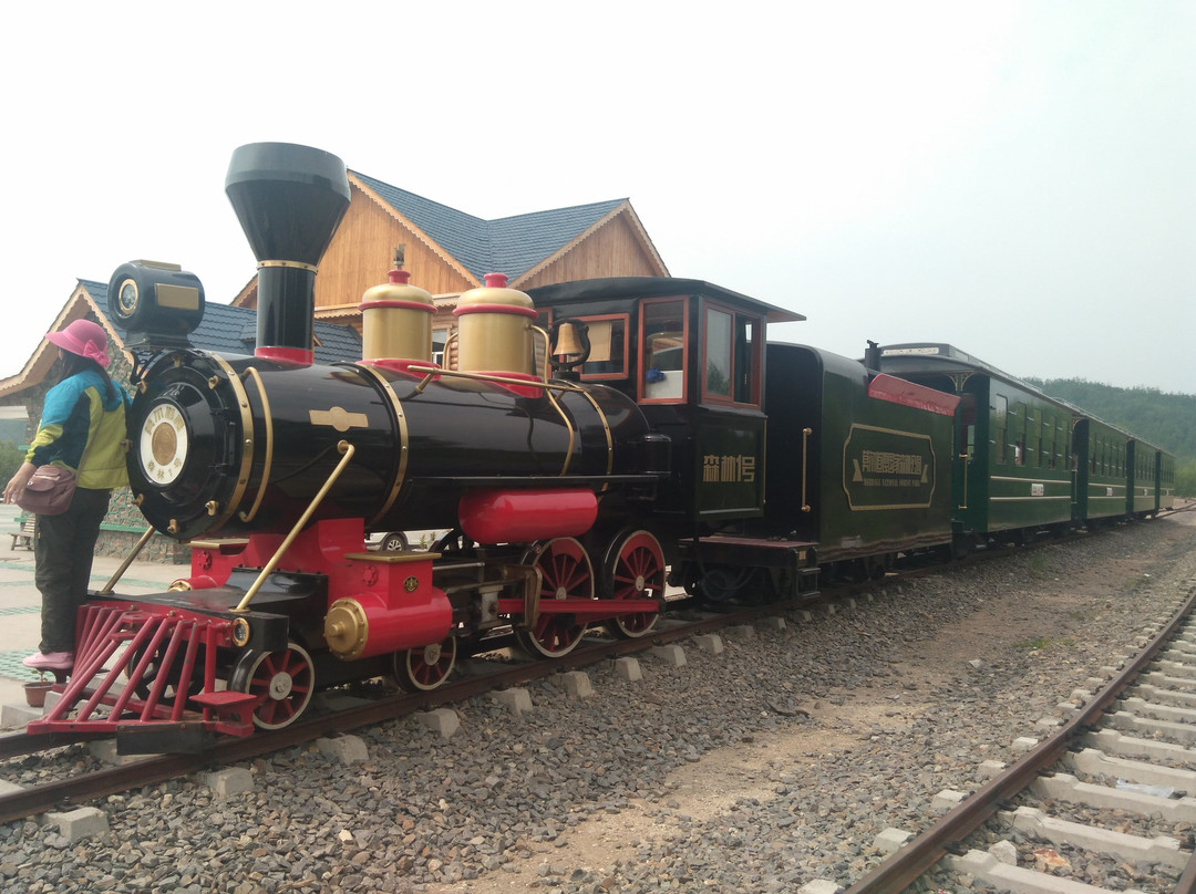 莫尔道嘎国家森林公园-呼伦贝尔市必去景点