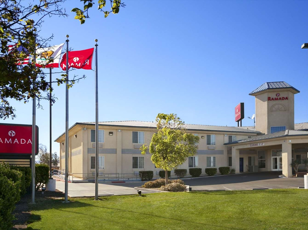 Spark By Hilton Williams主图