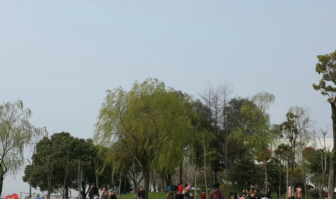 杨梅洲水上公园景点图片