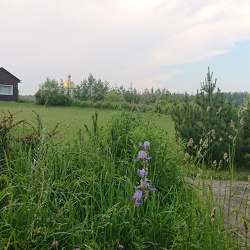 Nastasino旅游攻略图片