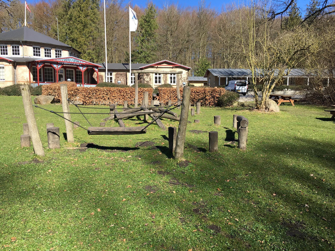 Tumlepladsen i Riis Skov景点图片