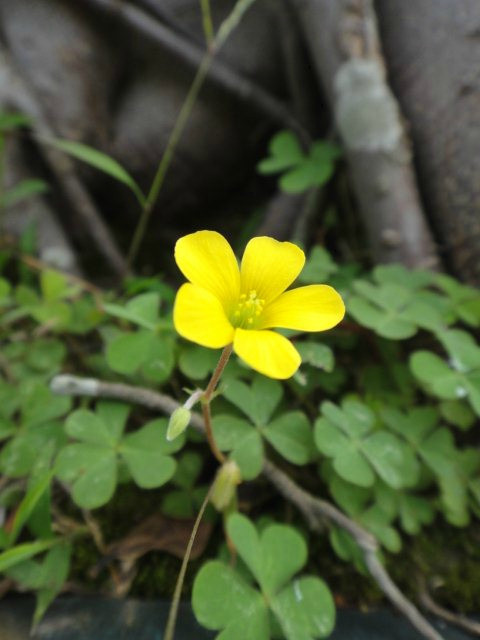 北回归线标志公园