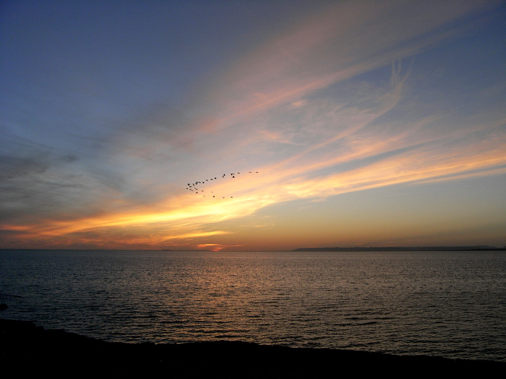 San Ignacio Lagoon-下加利福尼亚州必去景点