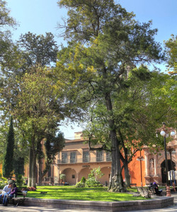 Plaza de San Francisco景点门票图片