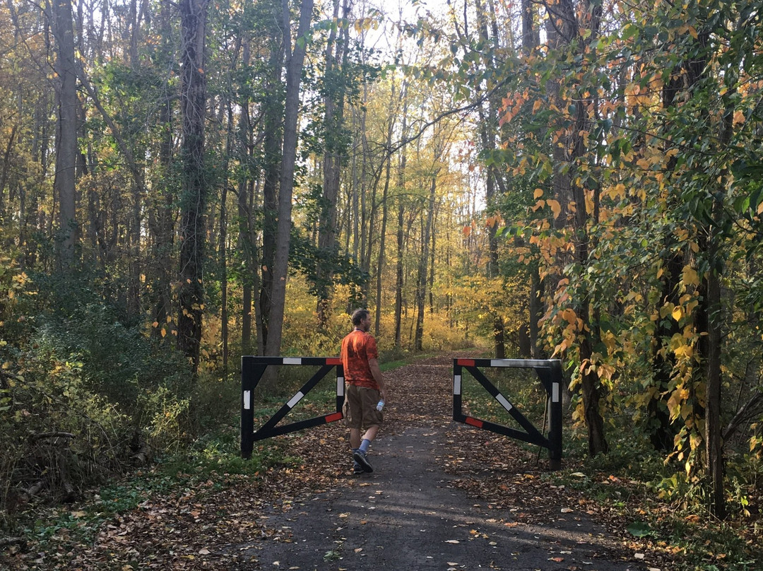 格兰特岛旅游景点-Buckhorn Island State Park