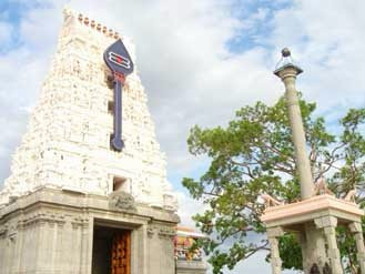 Pachaimalai Arulmigu Subramanyaswamy Temple景点图片