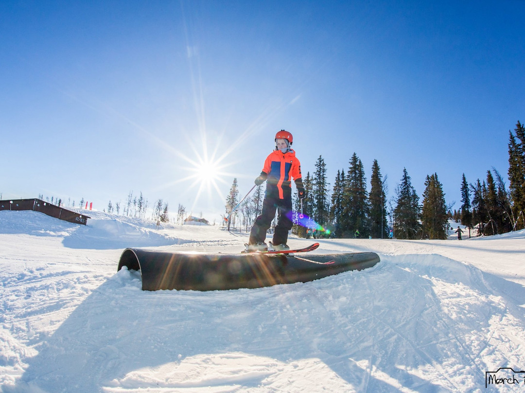 Golsfjellet Alpinsenter