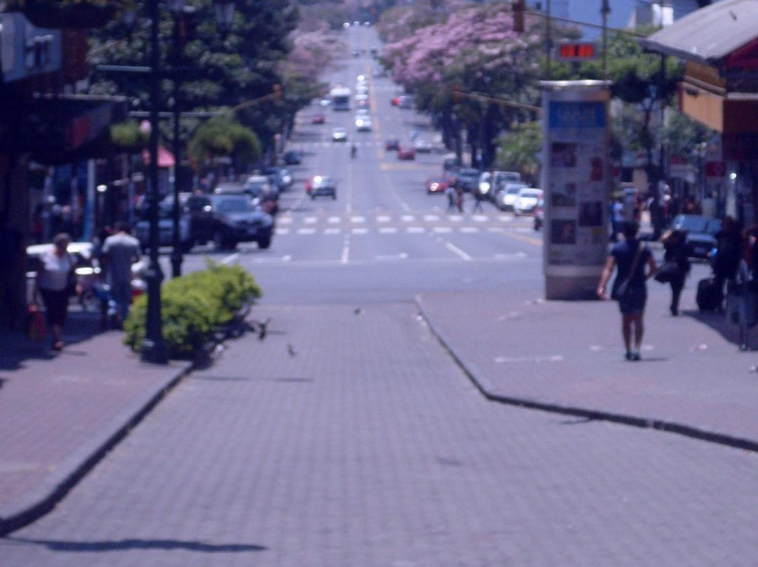 Pedestrian Mall景点图片