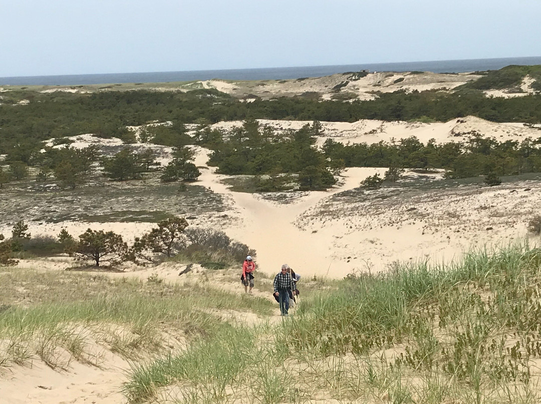 Outer Cape Tours & Concierge Services