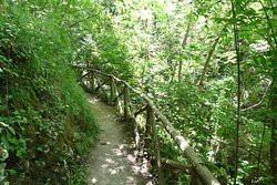 Tombe rupestri di San Liberatore景点图片