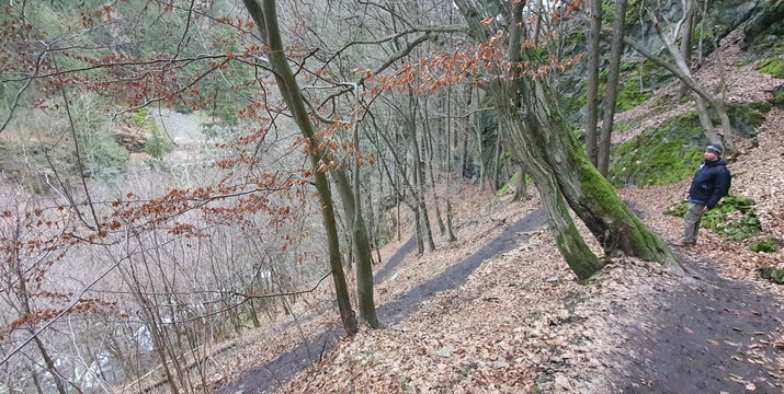 Riegrova stezka-Semily必去景点