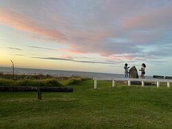 Otaki River Walks景点图片