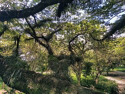 Jawatan Benculuk-巴纽旺宣必去景点