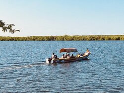 Les Barracudas主图