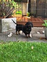 Bali@Avalon Bed & Breakfast主图