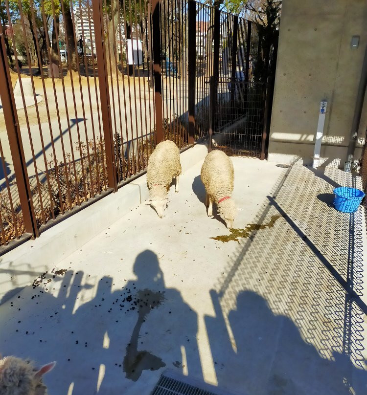 Higashiitabashi Park Children's Zoo-板桥区必去景点