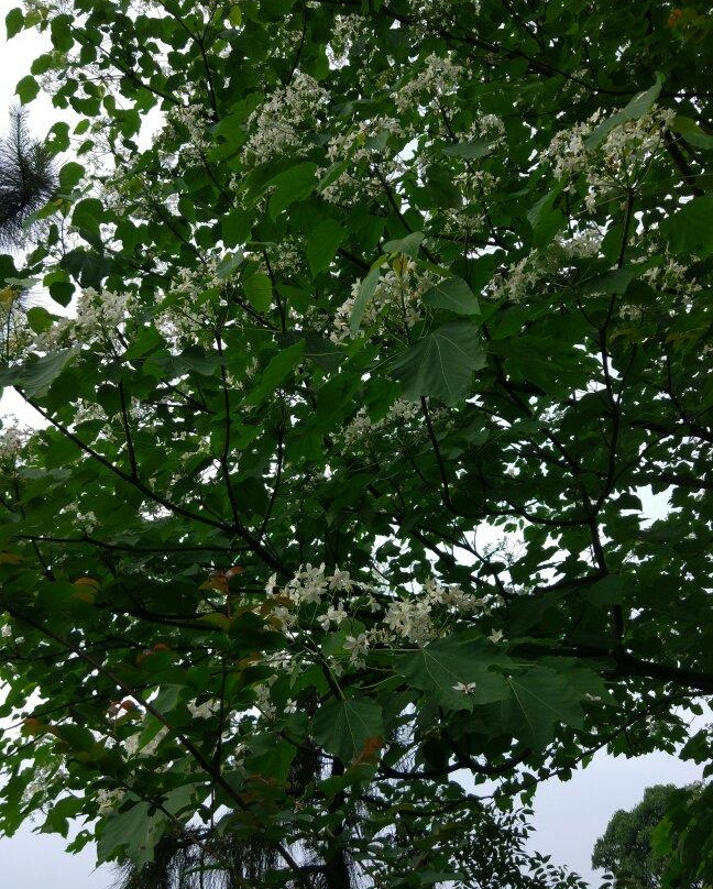 叱石风景区-江门市必去景点