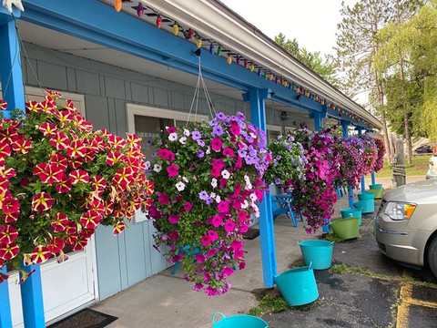 North Coast Inn & Chalets主图