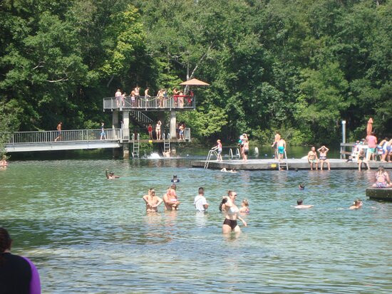 The Lodge at Wakulla Springs主图