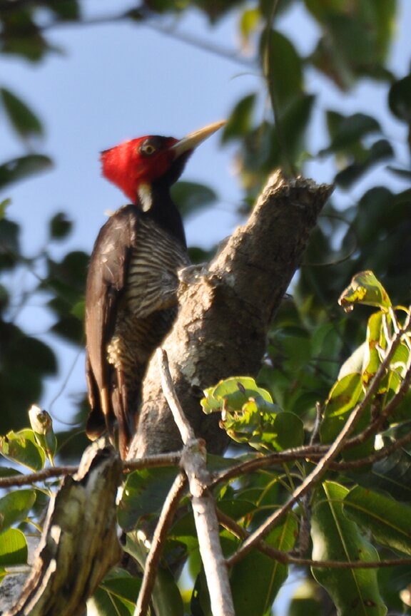 Jolie Jungle Eco Hotel-浴室