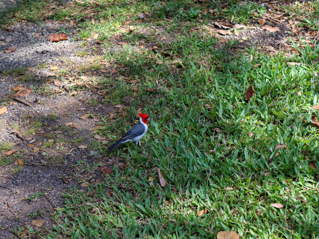 Waimea Botanical Gardens, Oahu-哈雷瓦必去景点