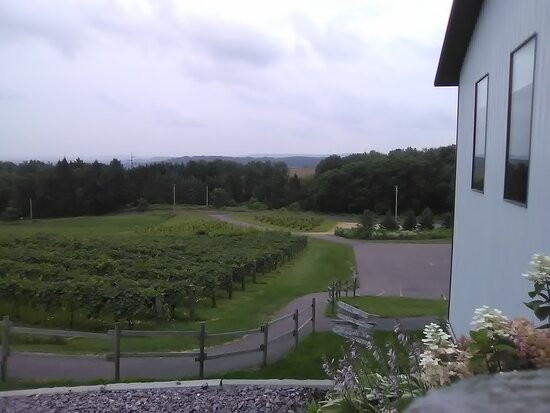 Baraboo Bluff Winery-巴拉布必去景点