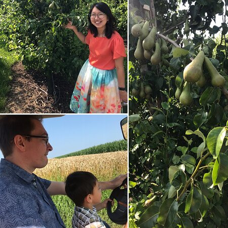 B&B De Fruithoeve主图