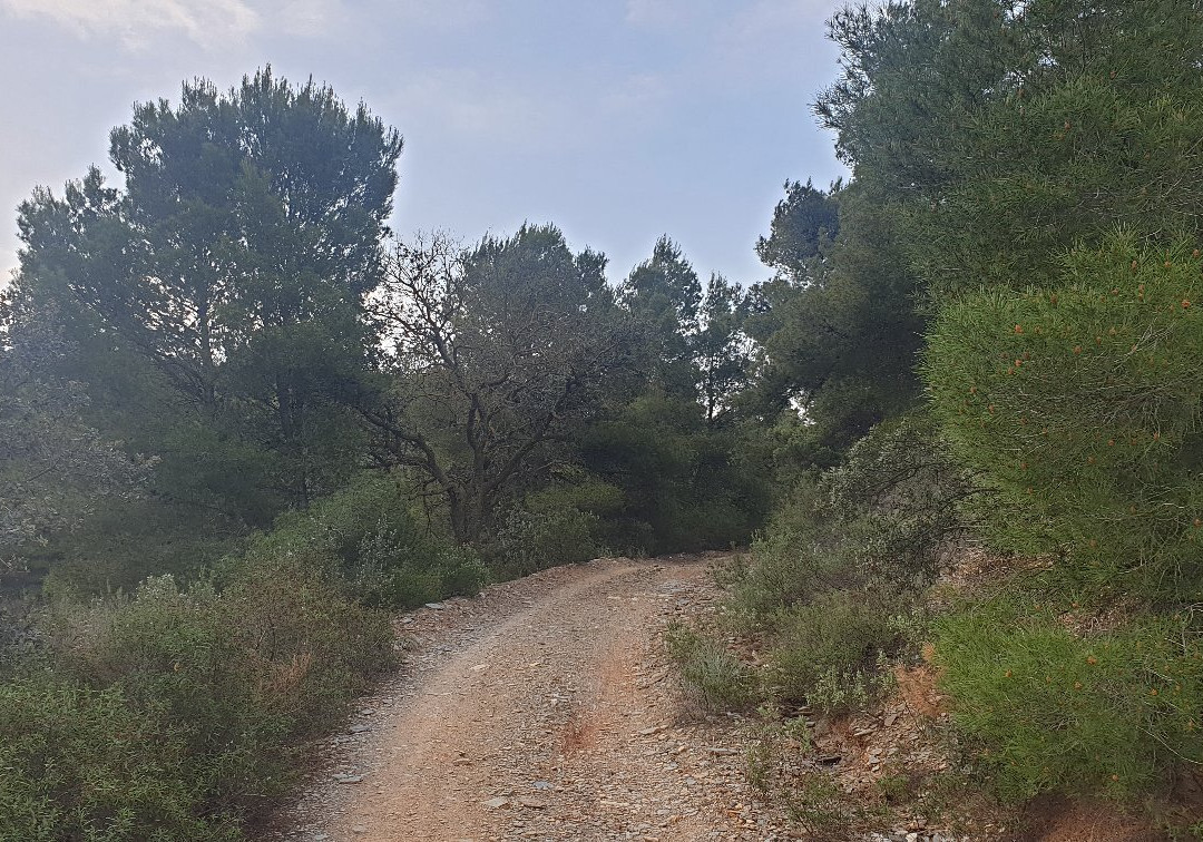 Paraje El Charco-Alhama de Murcia必去景点