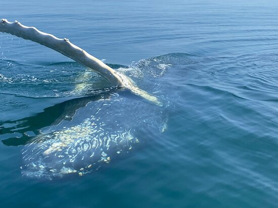 Ocean Explorations-Tiverton必去景点