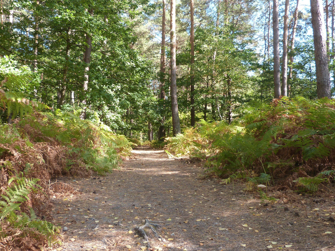 Belvédère Des Caillettes-Nibelle必去景点