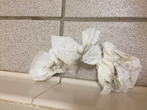 芒特霍姆温德姆戴斯酒店-浴室