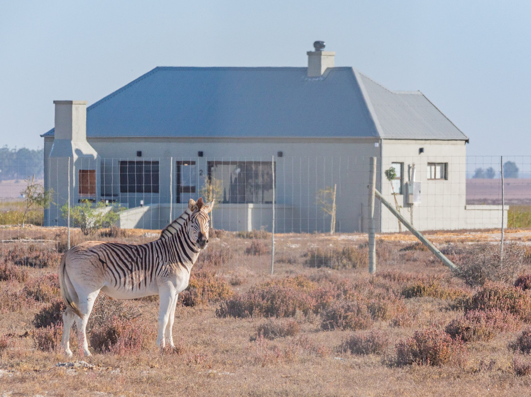 Velddrif酒店住宿-L'Ermitage Quagga Lodge