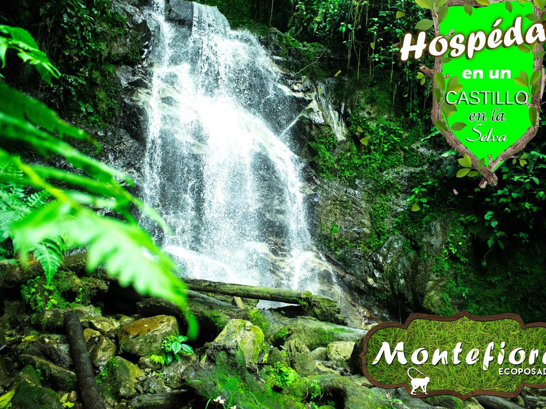 Ecoposada Montefiore主图