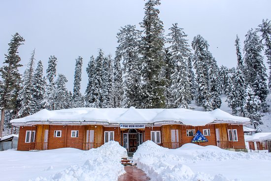 Pine View Resort-官方
