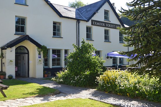 Exmoor Forest Inn-官方