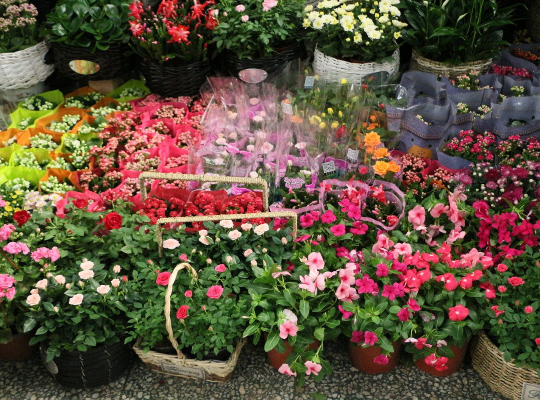 莱太花卉市场景点图片