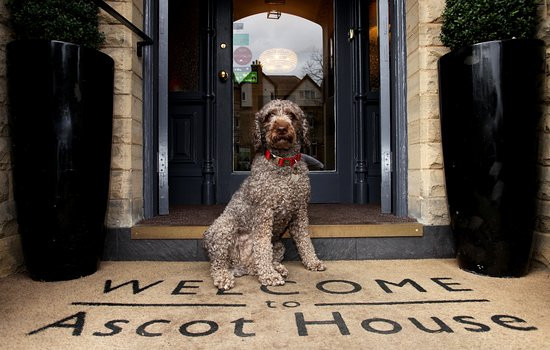 Ascot House Hotel Harrogate主图