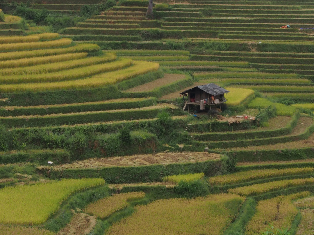 Son La旅游攻略图片