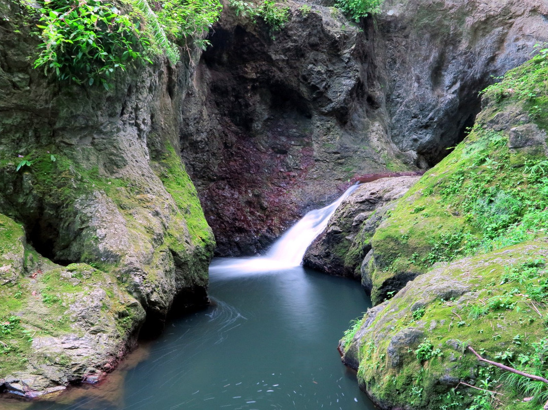 大里郡旅游攻略图片