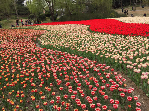大宁灵石公园-上海市必去景点