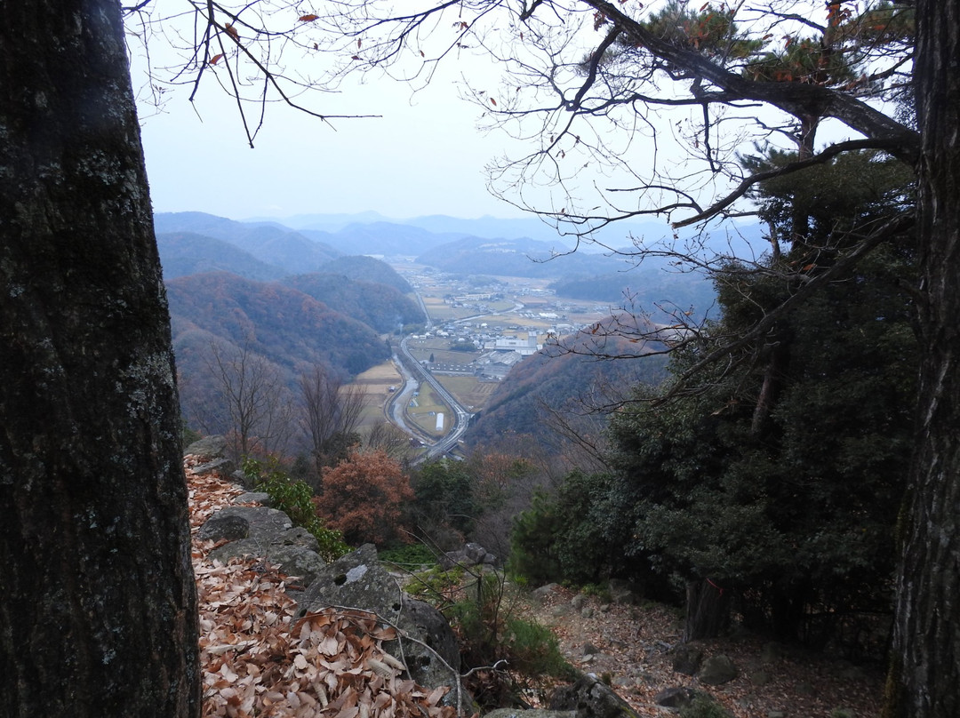 相生市旅游攻略图片