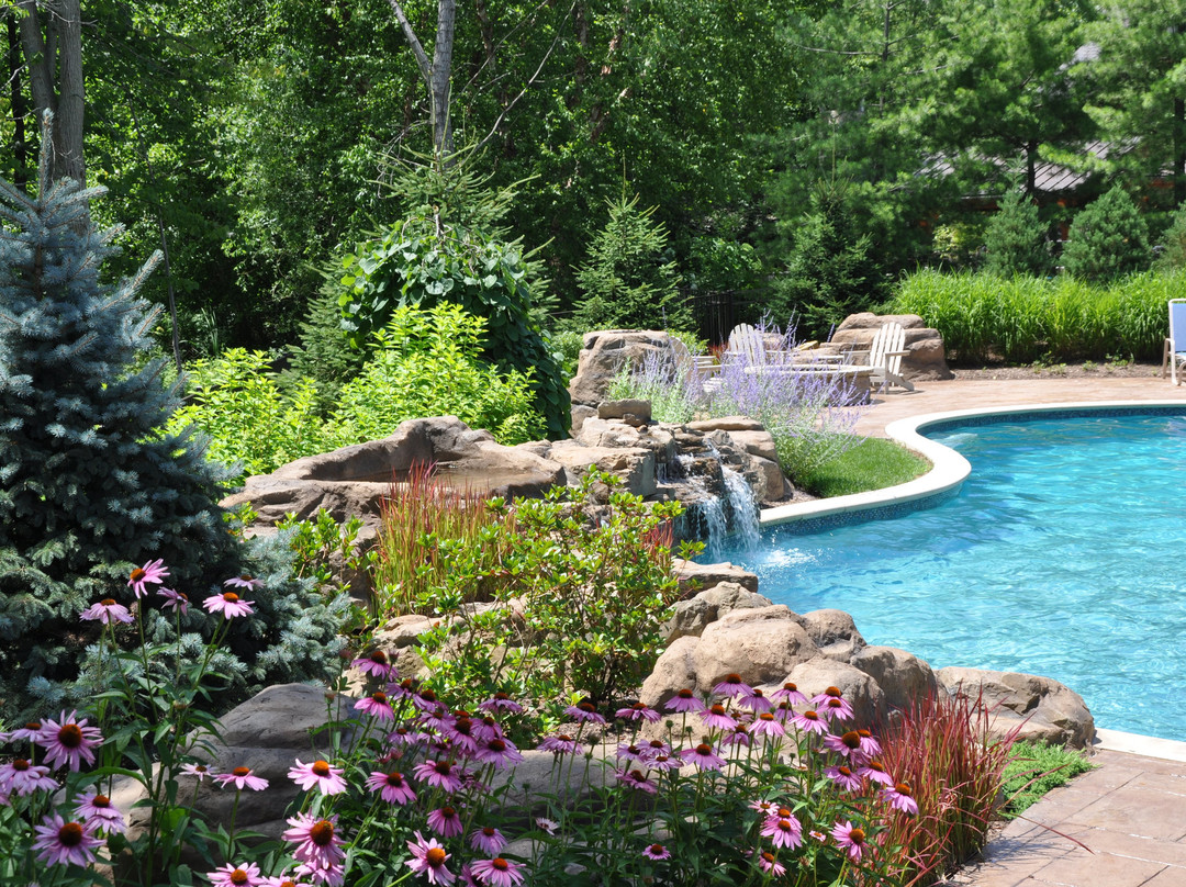 Aurora旅游攻略图片