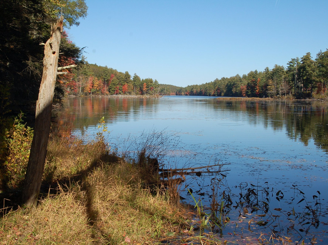 Bigelow Hollow State Park-Union必去景点