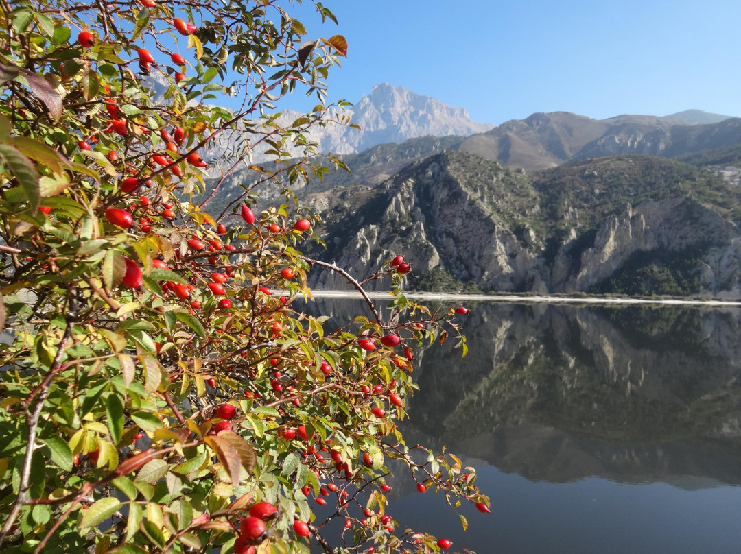 Alagir旅游攻略图片