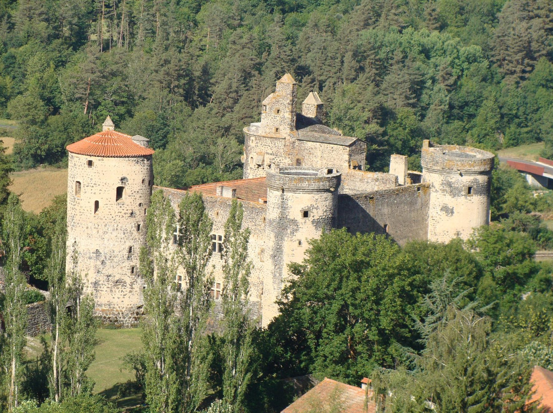 Forteresse de Saint-Vidal景点图片