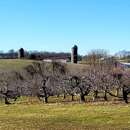 Susquehanna Orchards-Delta必去景点